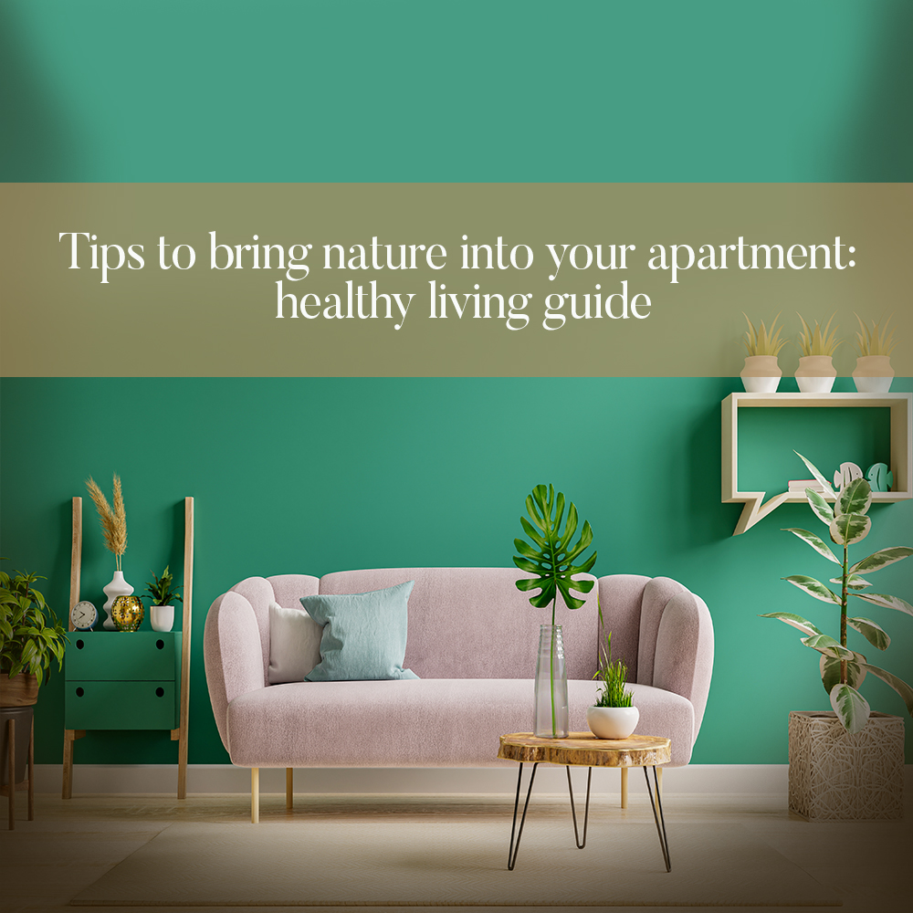 Go Green in Apartments for a Healthier Lifestyle